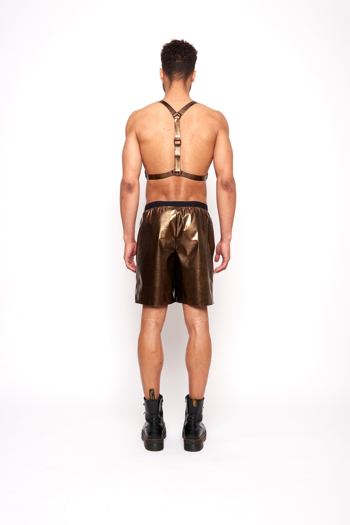 GOLDEN HARNESS