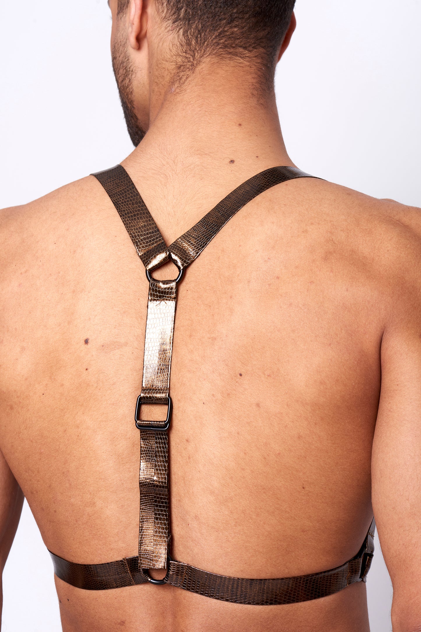 GOLDEN HARNESS